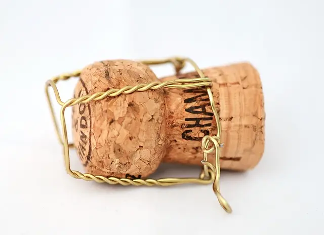 Champagnes vegans : Guide d'achat et sélection